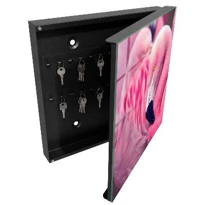 Pink beauty Wall mounted key box
