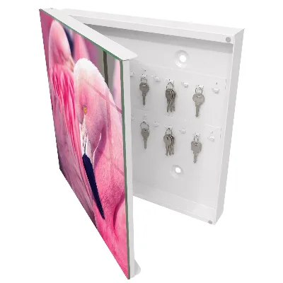 Pink beauty Wall mounted key box