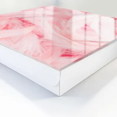 Pink feathers Key cabinet