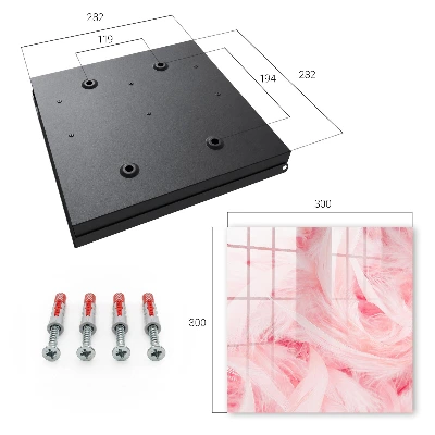 Pink feathers Key cabinet