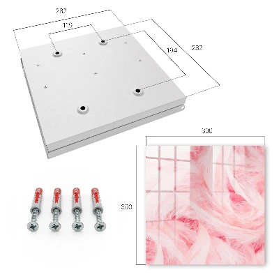 Pink feathers Key cabinet