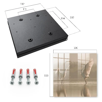 Bird dance Key cabinet