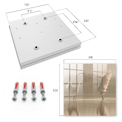 Bird dance Key cabinet