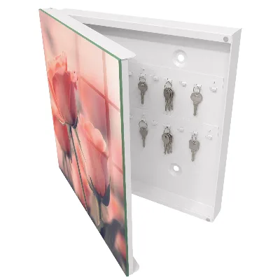 Delicate flowers Wall mounted key box
