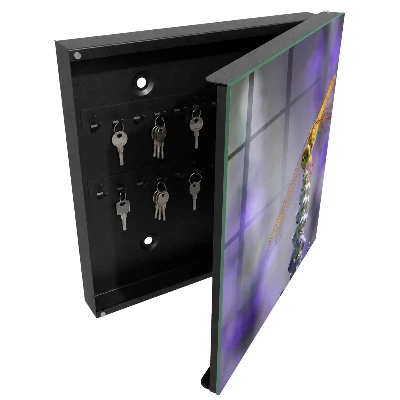 Dragonfly on a flower Key box for wall