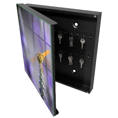 Dragonfly on a flower Key box for wall