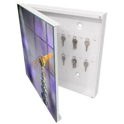 Dragonfly on a flower Key box for wall