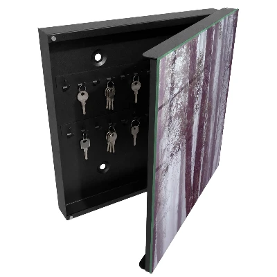 Forest fog Key box for wall