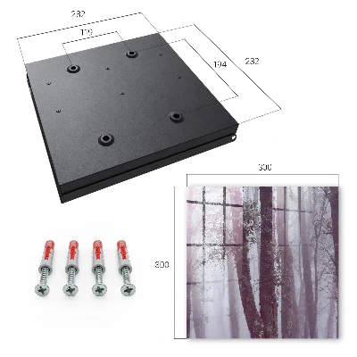 Forest fog Key box for wall