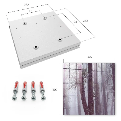 Forest fog Key box for wall