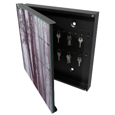 Forest fog Key box for wall
