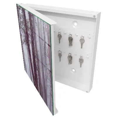 Forest fog Key box for wall