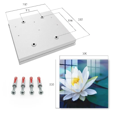 Water lily Wall mounted key box