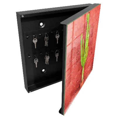 Green cactus Key box for wall