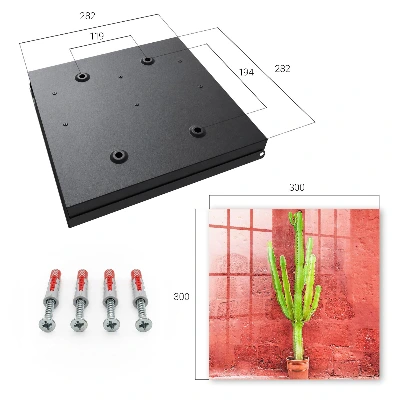 Green cactus Key box for wall