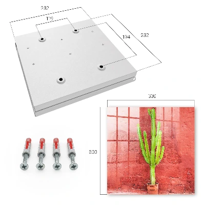 Green cactus Key box for wall