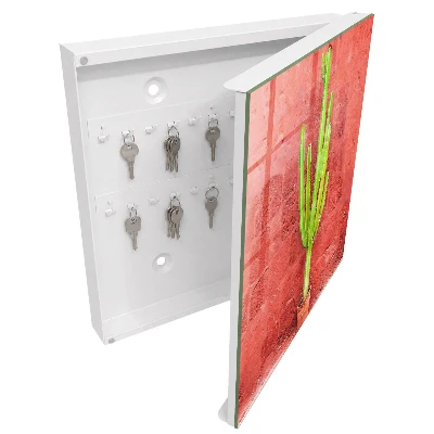 Green cactus Key box for wall