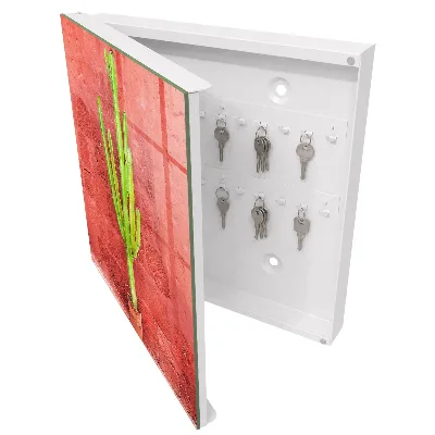 Green cactus Key box for wall