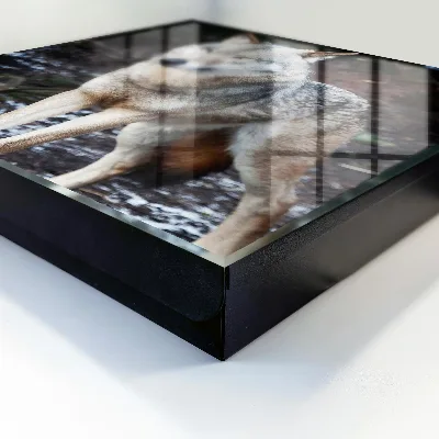 Wolf in the forest Key box for wall