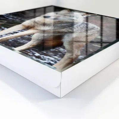 Wolf in the forest Key box for wall