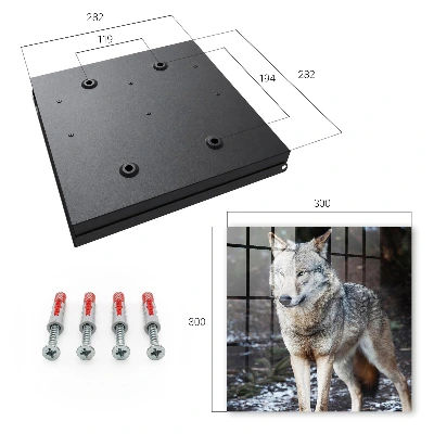 Wolf in the forest Key box for wall