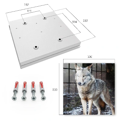 Wolf in the forest Key box for wall