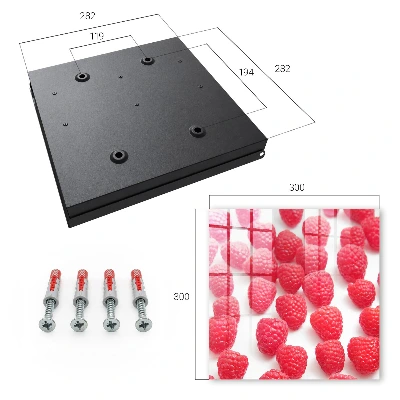 Pink raspberries Wall mounted key box