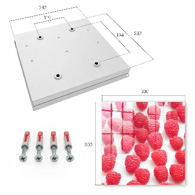 Pink raspberries Wall mounted key box