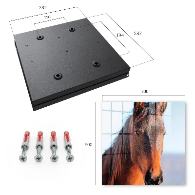 Horse portrait Key box for wall