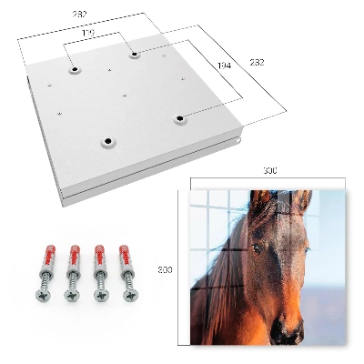 Horse portrait Key box for wall