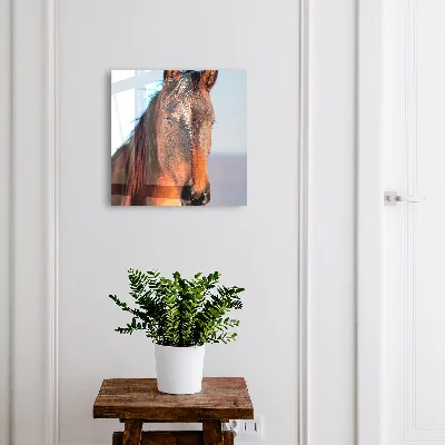 Horse portrait Key box for wall