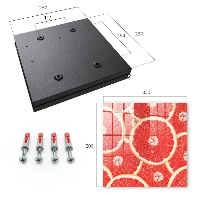 Grapefruit slices Key box for wall