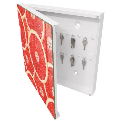 Grapefruit slices Key box for wall