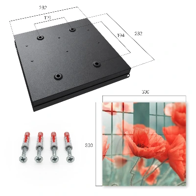 Red poppies Key box for wall