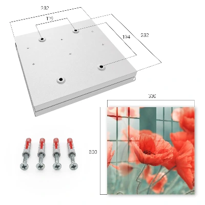Red poppies Key box for wall