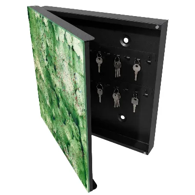 Green chaos Wall mounted key box