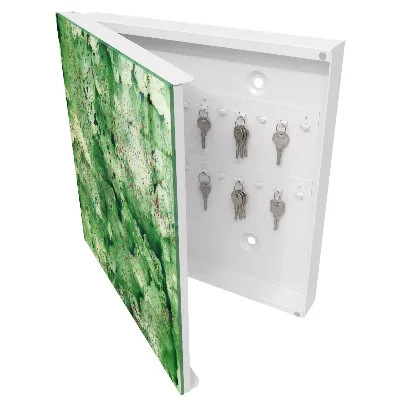 Green chaos Wall mounted key box