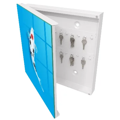 Koi fish Key box for wall