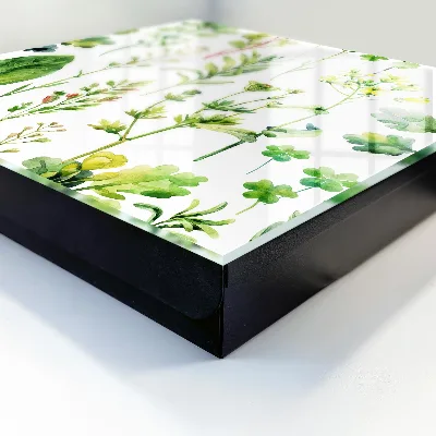 Plant watercolor Key cabinet
