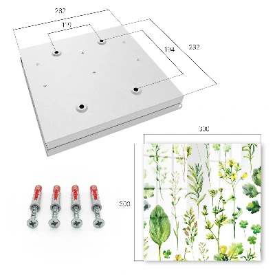 Plant watercolor Key cabinet