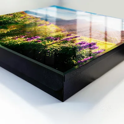 Mountain idyll Key box for wall
