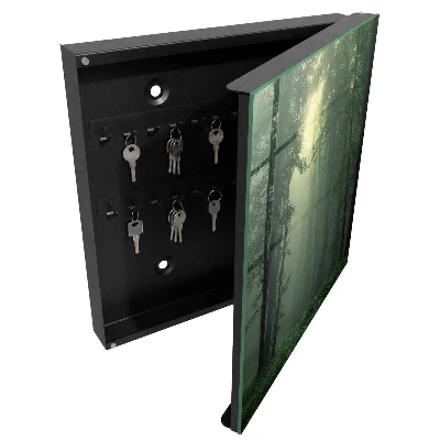Forest fog Key cabinet