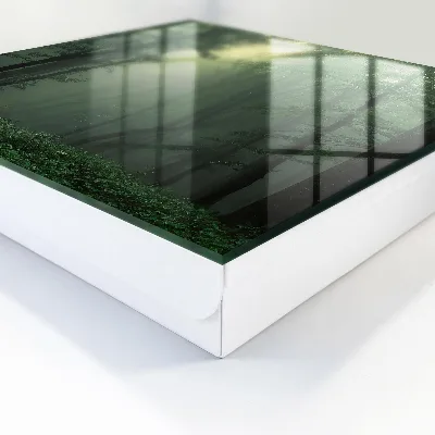 Forest fog Key cabinet