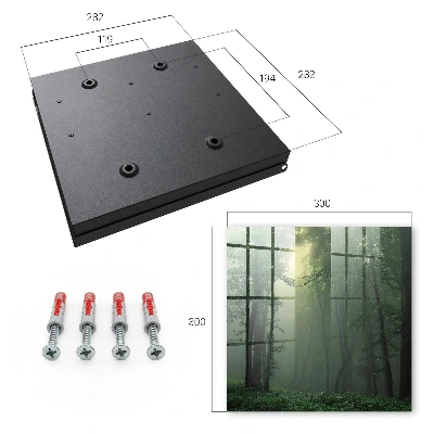 Forest fog Key cabinet