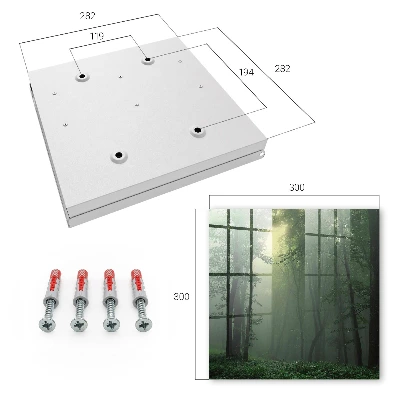 Forest fog Key cabinet