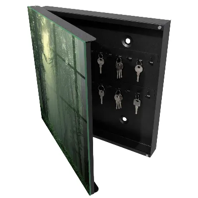 Forest fog Key cabinet