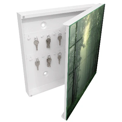 Forest fog Key cabinet