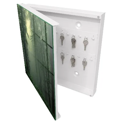 Forest fog Key cabinet