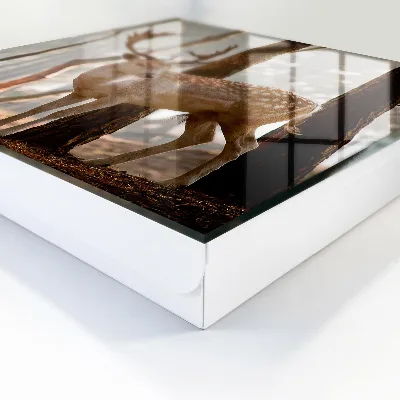 Deer in the forest Wall mounted key box