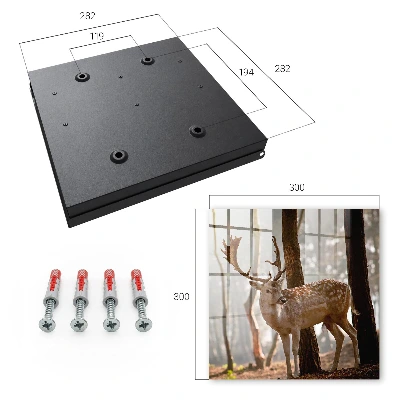 Deer in the forest Wall mounted key box